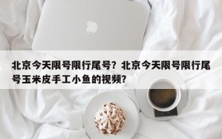 北京今天限号限行尾号？北京今天限号限行尾号玉米皮手工小鱼的视频？