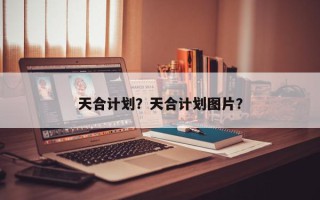 天合计划？天合计划图片？