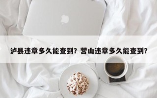 泸县违章多久能查到？营山违章多久能查到？