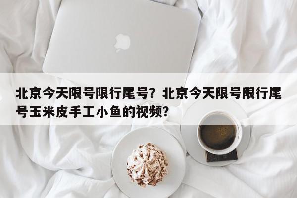 北京今天限号限行尾号？北京今天限号限行尾号玉米皮手工小鱼的视频？-第1张图片