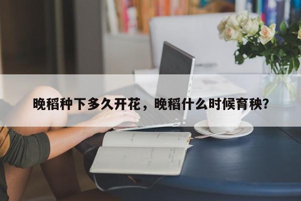 晚稻种下多久开花，晚稻什么时候育秧？-第1张图片