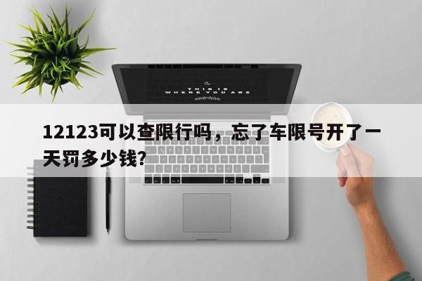 12123可以查限行吗，忘了车限号开了一天罚多少钱？-第1张图片