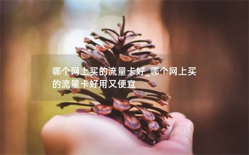 哪个网上买的流量卡好_哪个网上买的流量卡好用又便宜-第1张图片