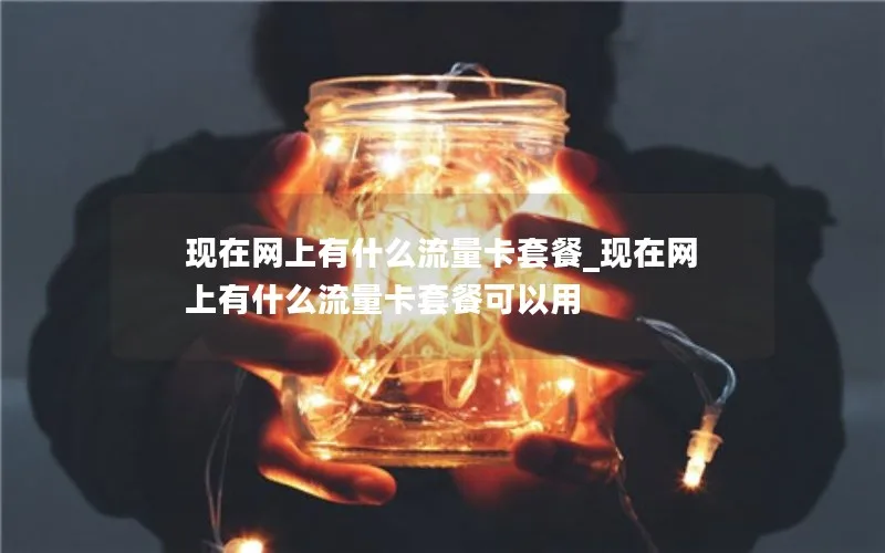 现在网上有什么流量卡套餐_现在网上有什么流量卡套餐可以用-第1张图片