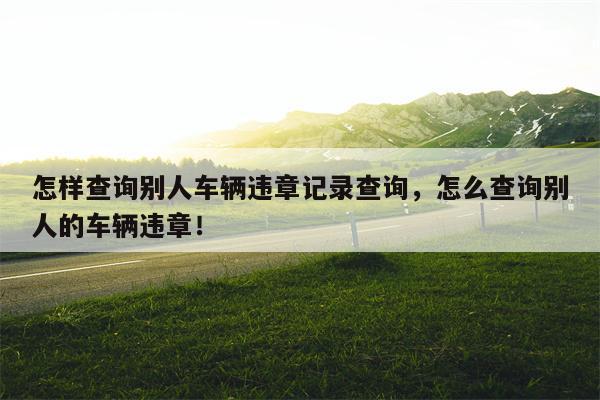 怎样查询别人车辆违章记录查询，怎么查询别人的车辆违章！-第1张图片