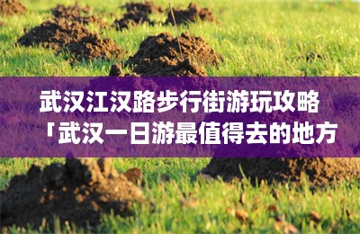 武汉江汉路步行街游玩攻略「武汉一日游最值得去的地方」-第1张图片