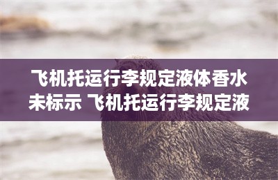 飞机托运行李规定液体香水未标示 飞机托运行李规定液体-第1张图片